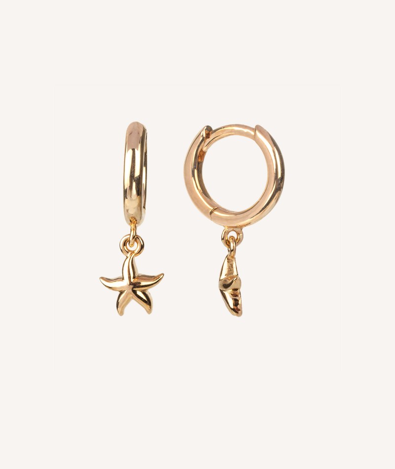 Earrings Articulated hoop star