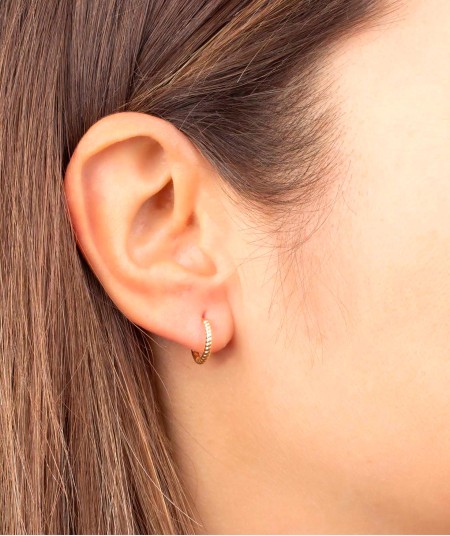 Earrings Hoop Spiral