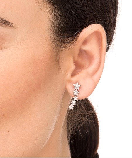 Earrings climbing Stars Zirconias