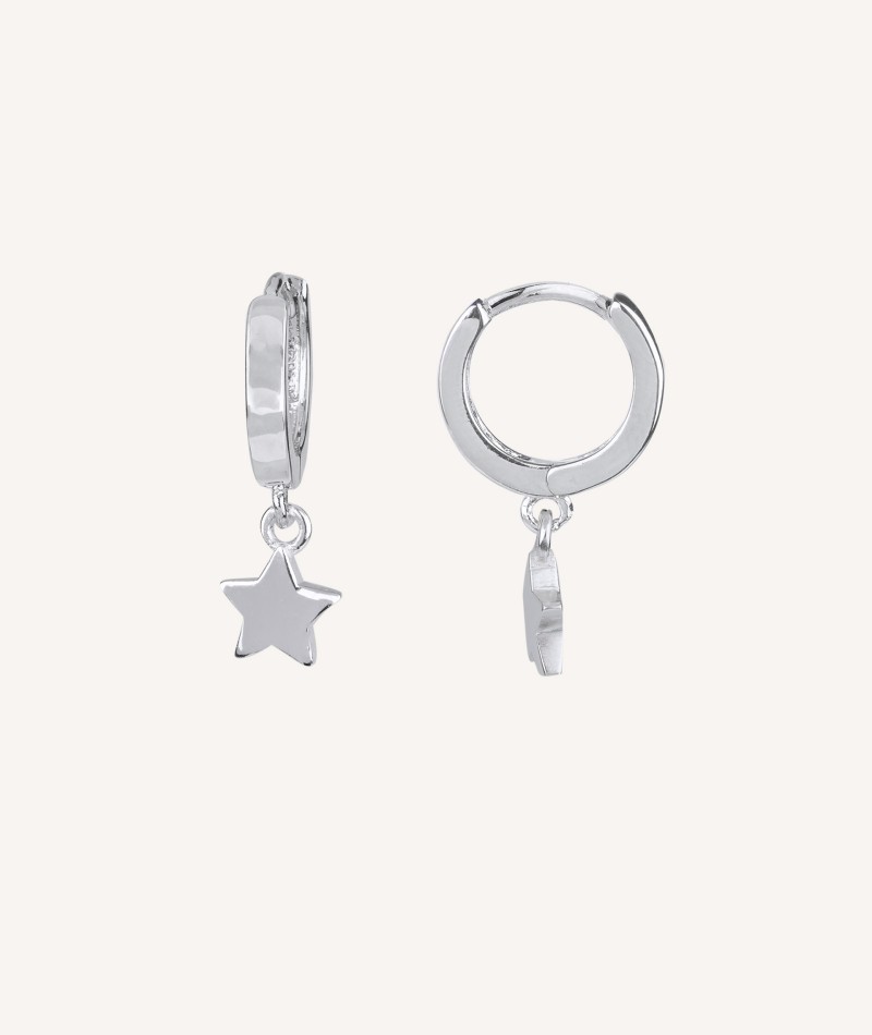 Earrings articulated double star