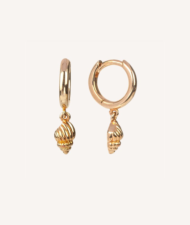 Earrings Articulated hoop shell