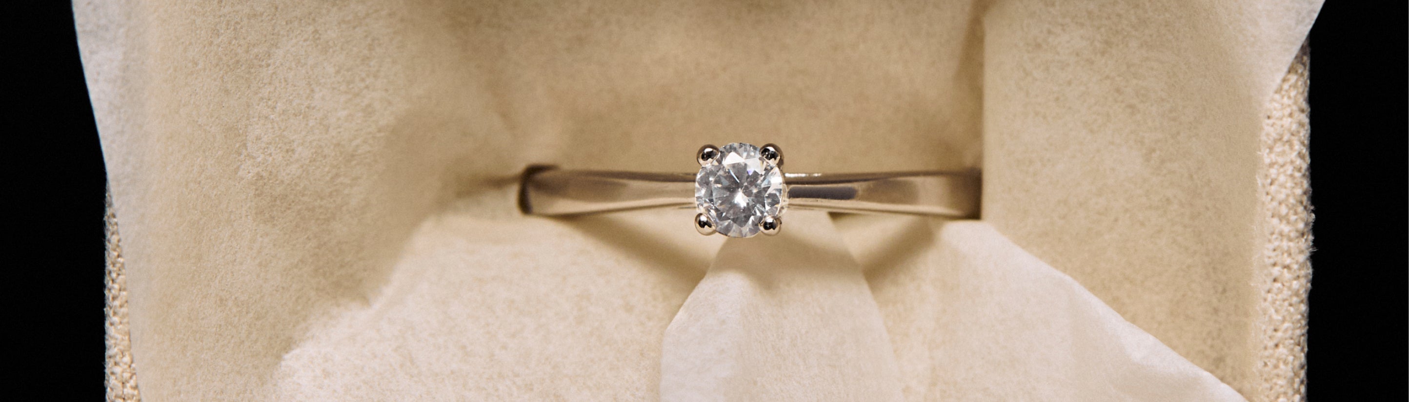 Colección Signature