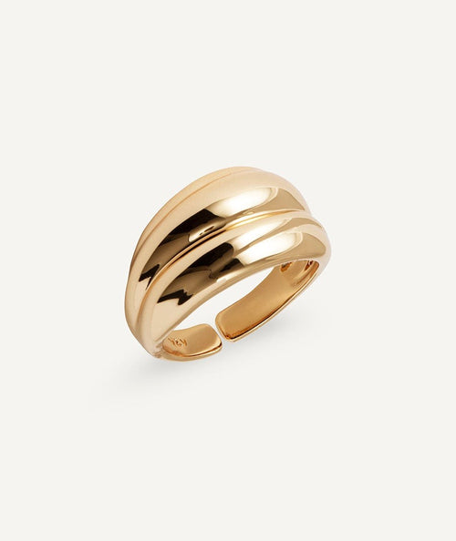Anillo Curva
