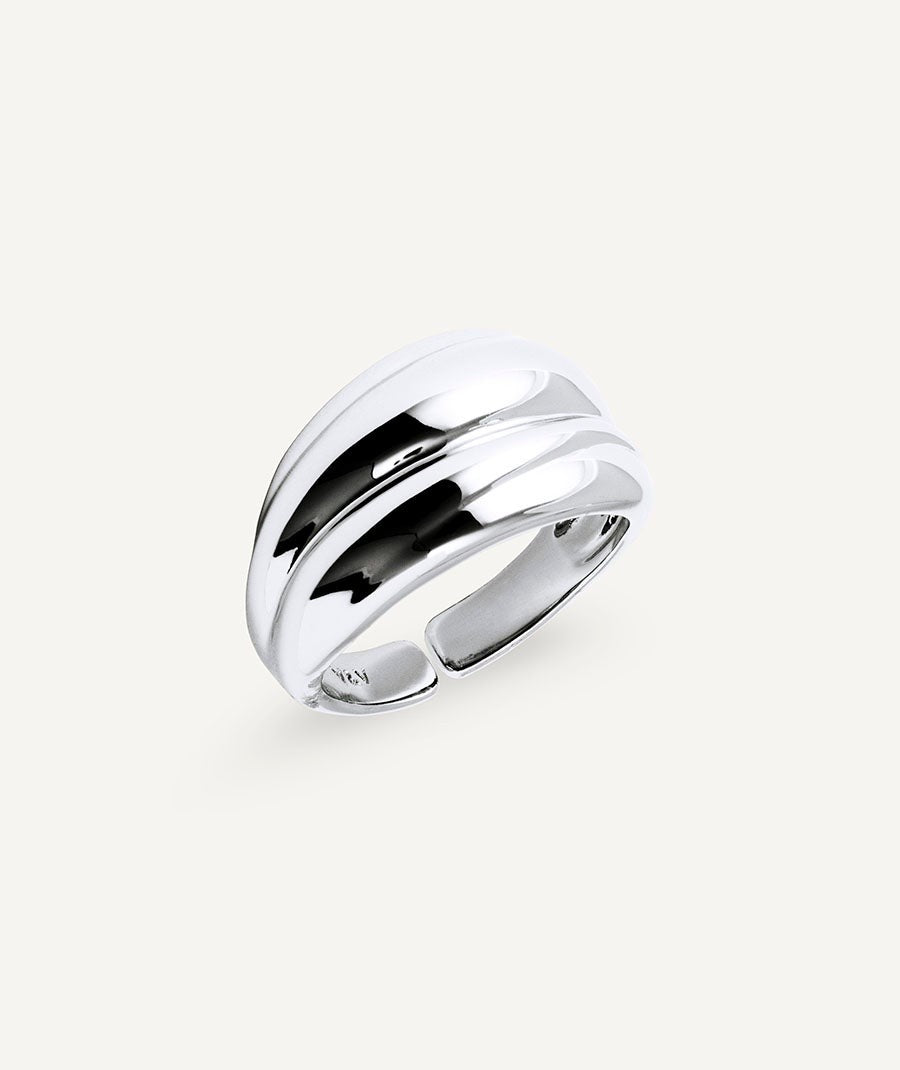 Anillo Curva