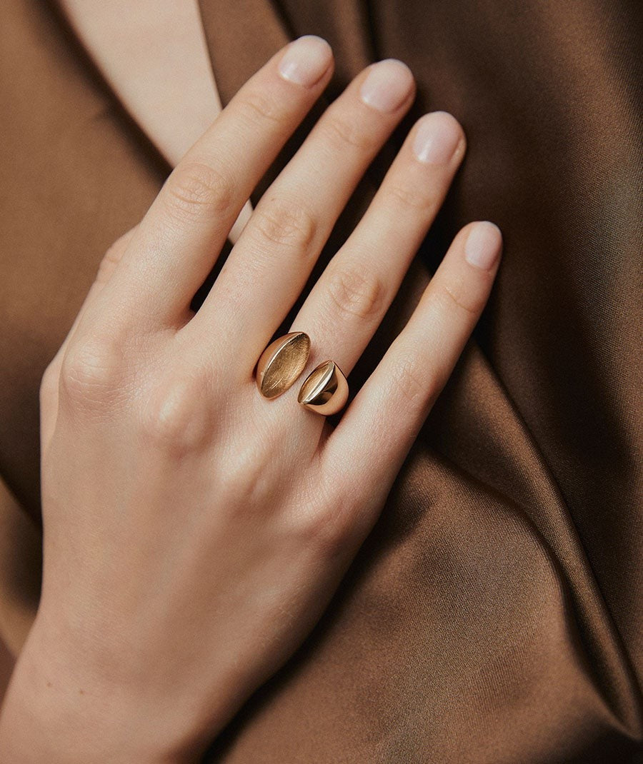 Anillo Salina
