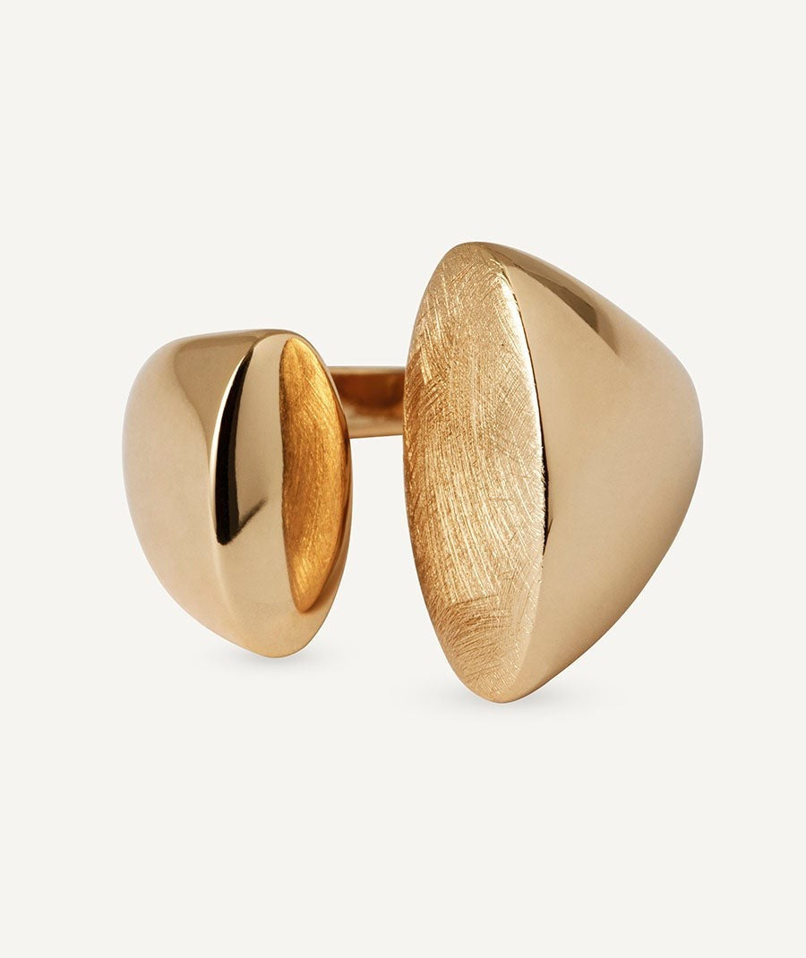 Anillo Salina