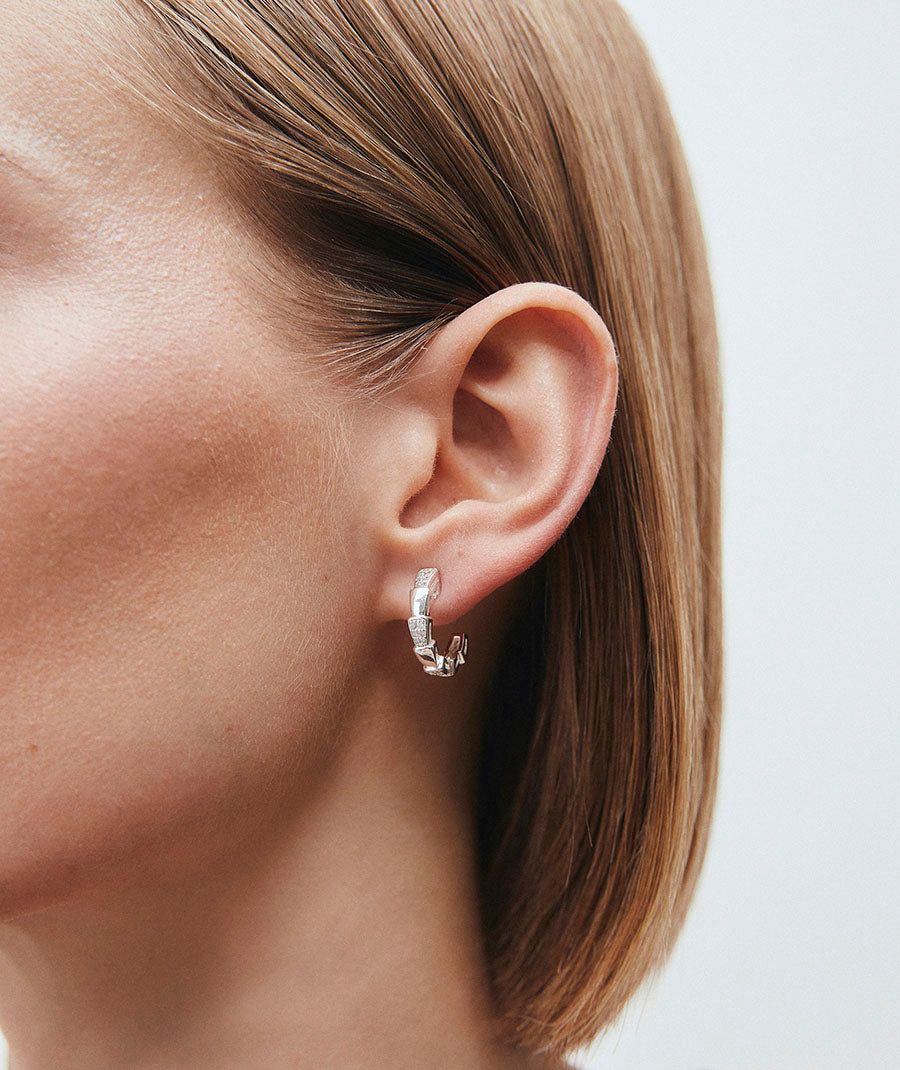 Earrings Segment Crescent with Zirconia