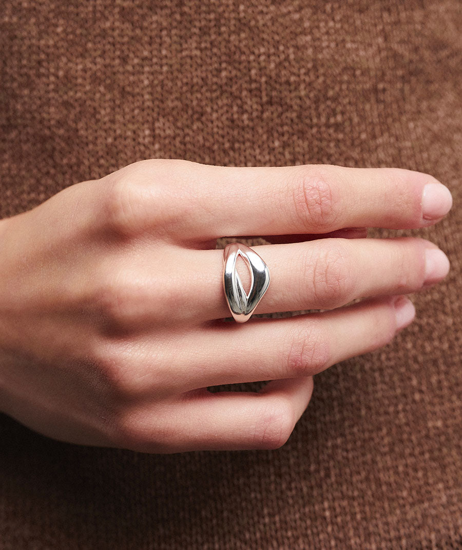 Anillo tiras Reclass