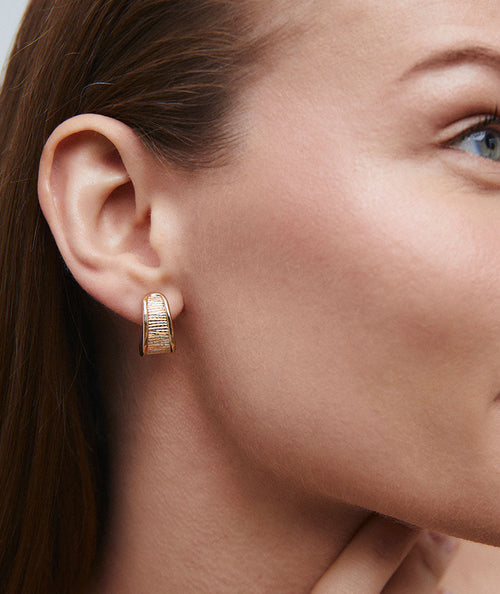 Earrings half-moon Horizonte secundaria