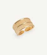 Ring Horizonte dual