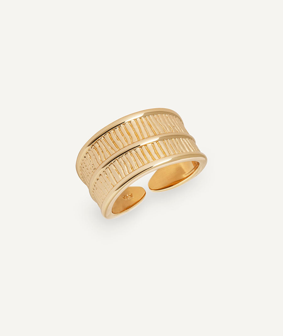 Anillo dúal Horizonte